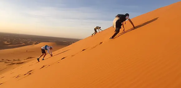 Dunes Runners